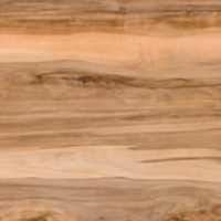 Indian Rosewood